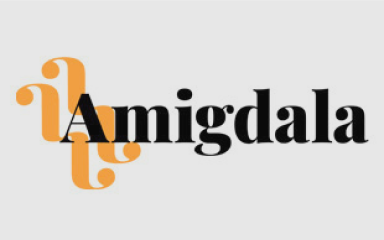 Запуск нового сайта amigdala.pro